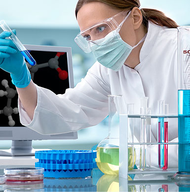 Portfolio Image